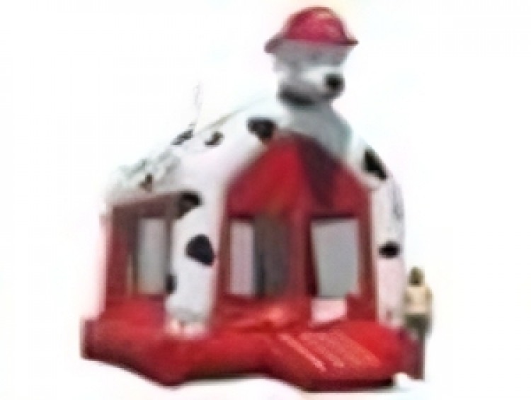 dalmation firedog02 transformed 1720677354 big Home