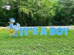 It's a BOY(2)