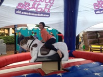 AtlantaMechanicalBulldog02