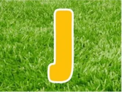 Yellow20Letters 1749281208 yc package