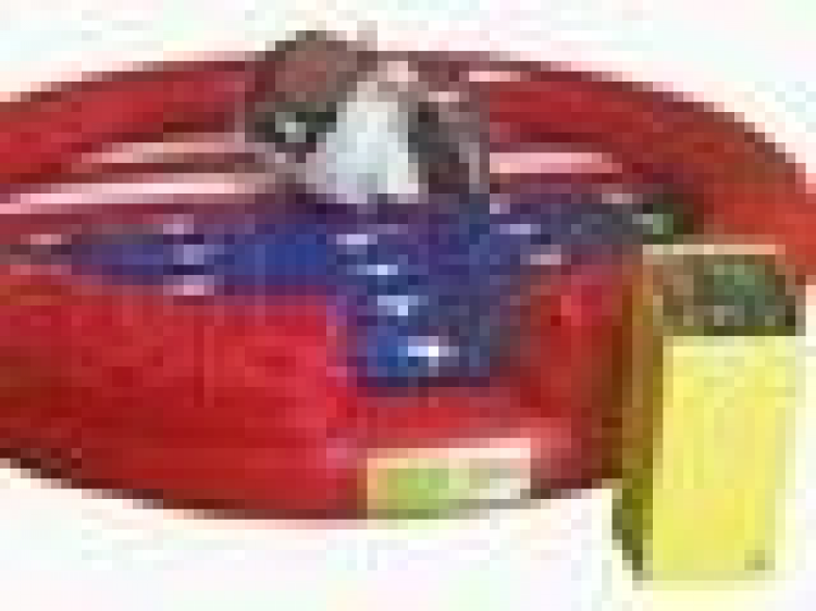 mechanical bulls at Laser Sporting Of Georgia