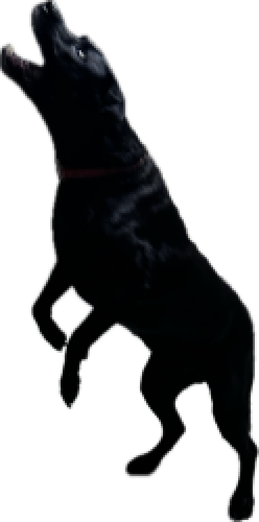 jim test