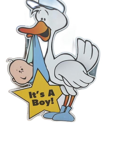 imageedit 5 8581621269 Card - Its a Boy